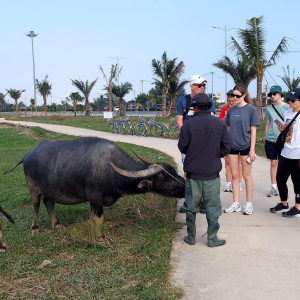HOI AN LOCAL EXPERIENCE